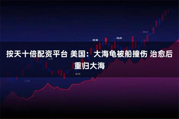 按天十倍配资平台 美国：大海龟被船撞伤 治愈后重归大海