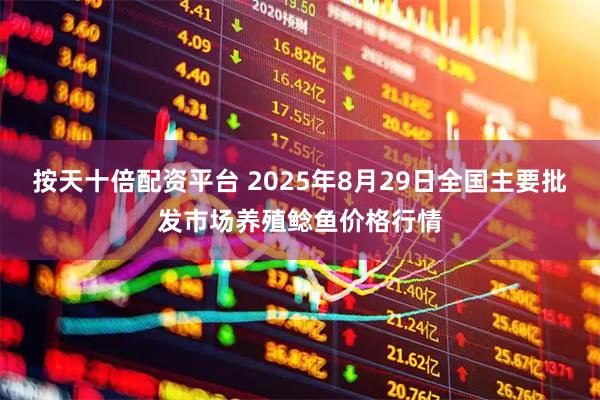 按天十倍配资平台 2025年8月29日全国主要批发市场养殖鲶鱼价格行情
